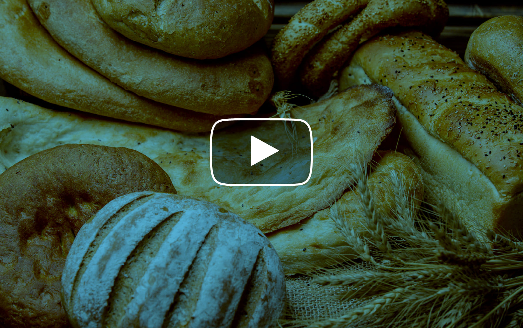 Programa: Dominando el arte del pan y la repostería